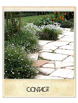 contact postcard image