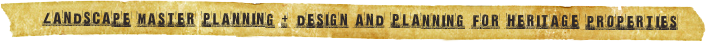 mp dp link